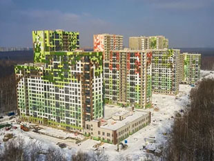 сказочный лес