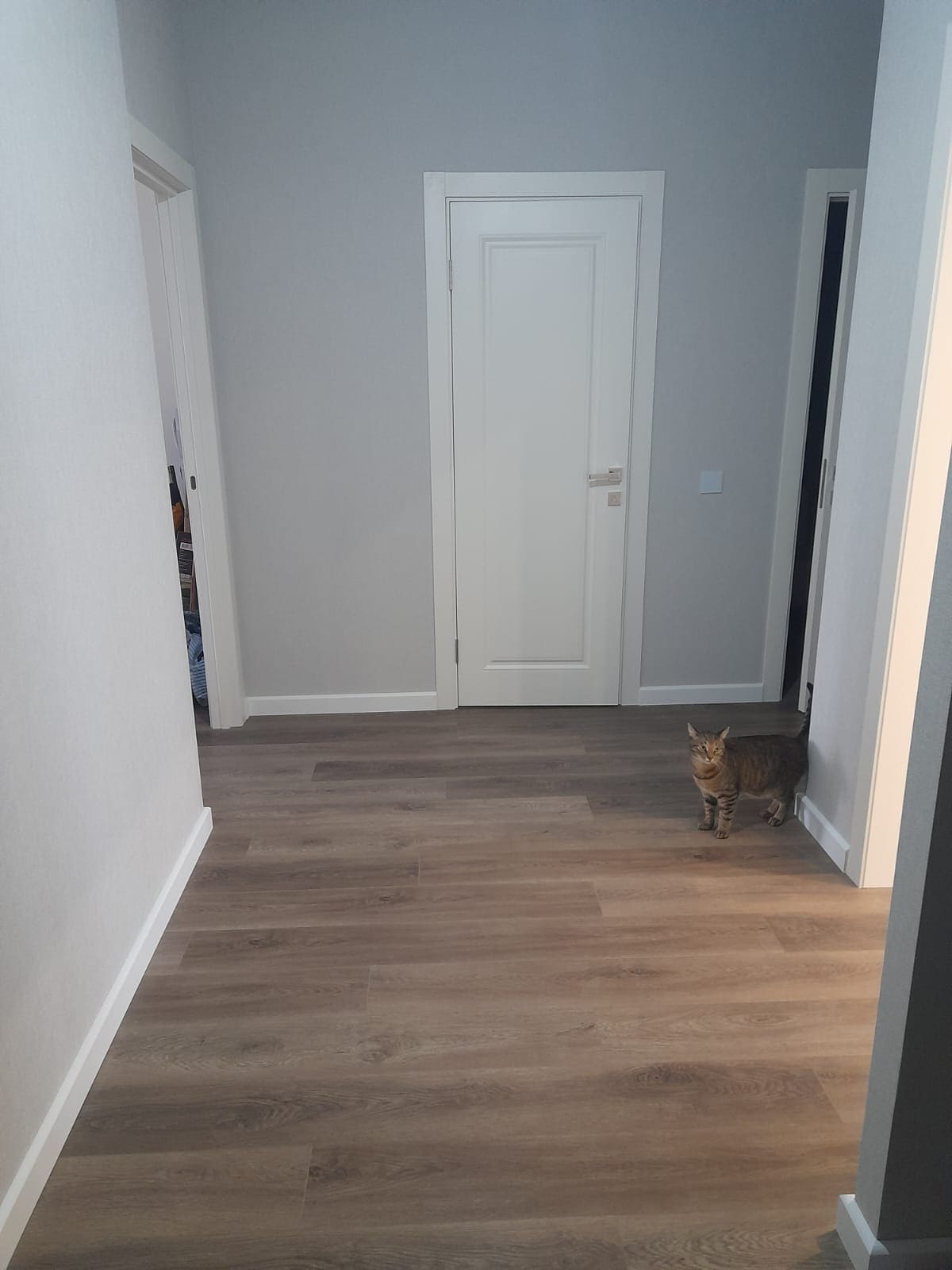 Эконом ремонт 4